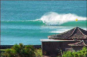 Praia Mole, de águas claras e areias soltas.